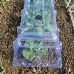 Mini Greenhouse Cloche -Lallatros Shop CLOC V69804 B