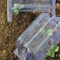 Mini Greenhouse Cloche -Lallatros Shop CLOC V69804 D