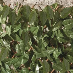 Artificial Ivy Hedge Trellis -Lallatros Shop G1041 3 1000x1000 1