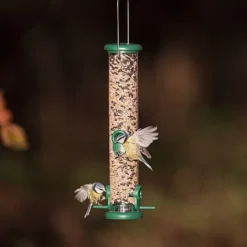 Jacobi Jayne Ring Pull Seed Medium Feeder 4 Port