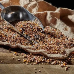 Bird Feeding Station With 4 Bird Feeders -Lallatros Shop G2531 43