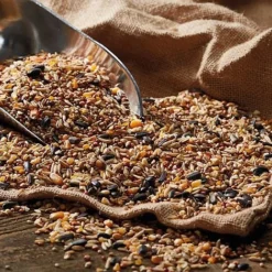 Bird Feeding Station With 4 Bird Feeders -Lallatros Shop G2537 41