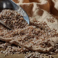 Bird Feeding Station With 4 Bird Feeders -Lallatros Shop G2539 41