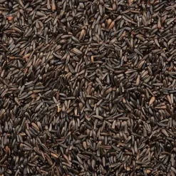 Niger Seed -Lallatros Shop G2543 3