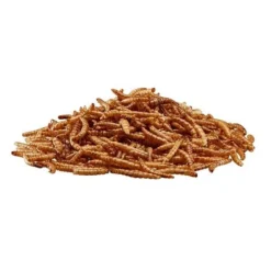 Meal Worms (Bag) -Lallatros Shop G2545 2