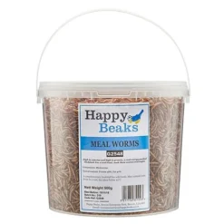 Meal Worms (Tub) -Lallatros Shop G2548 1