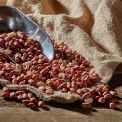 Bird Feeding Station With 4 Bird Feeders -Lallatros Shop G2549 41