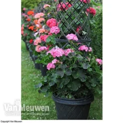 Tower Pot™ Black & Gold -Lallatros Shop TOWE V48803P B