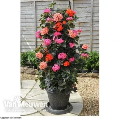 Tower Pot™ Black & Gold -Lallatros Shop TOWE V48803P C