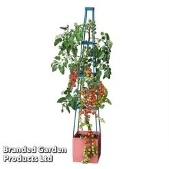Garden Grow Self Watering 4 Tier Tomato Tower -Lallatros Shop TOWE TOMSELFWA T045925