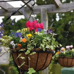 Garden Grow Hanging Basket & Liner -Lallatros Shop basket21