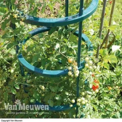 Tomato Growing Support -Lallatros Shop supp