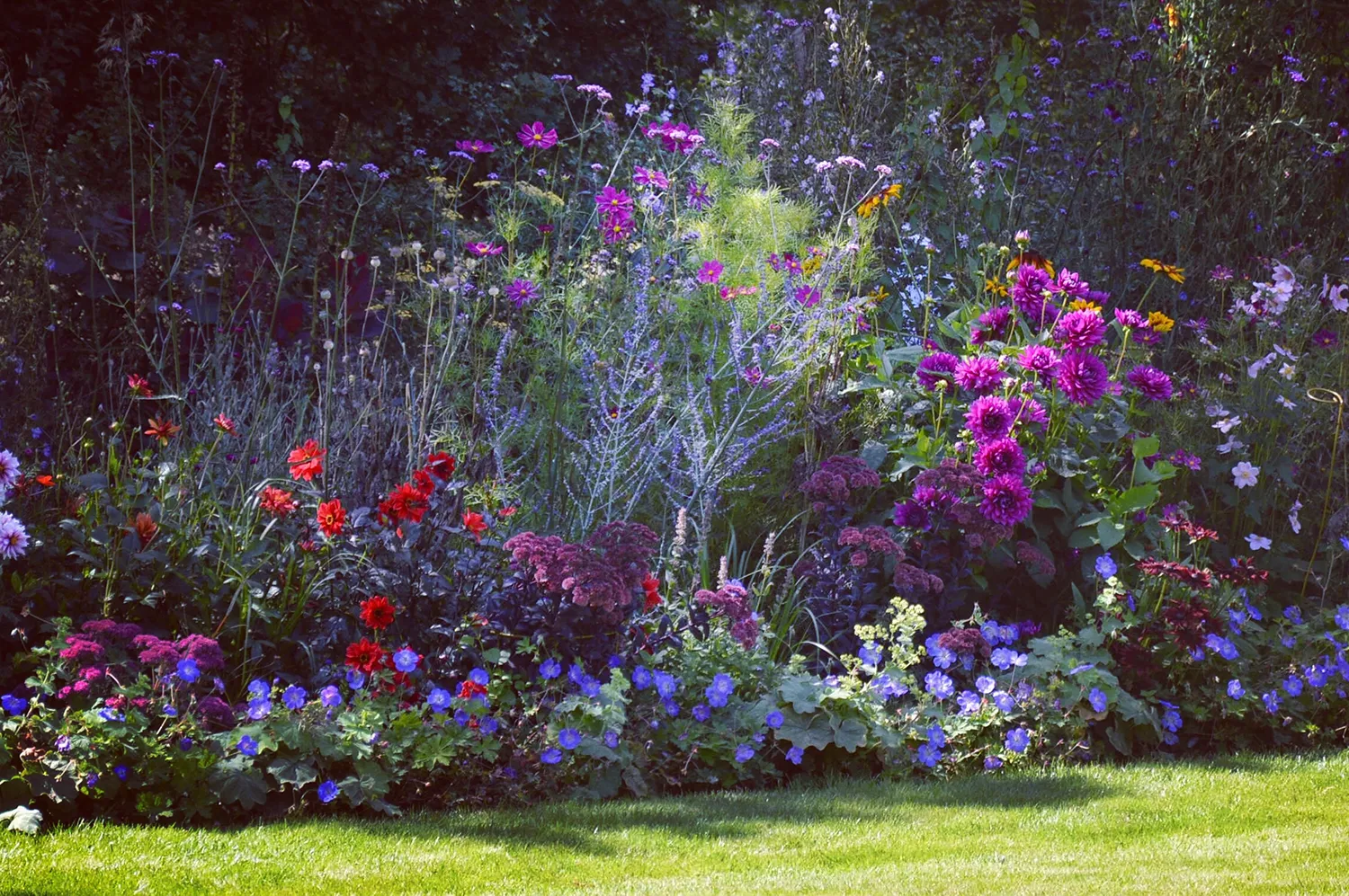 Lallatros Shop -Lallatros Shop Herbaceous border © Anya Lautenbach